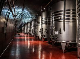 cantina vino contributi CIA Treviso
