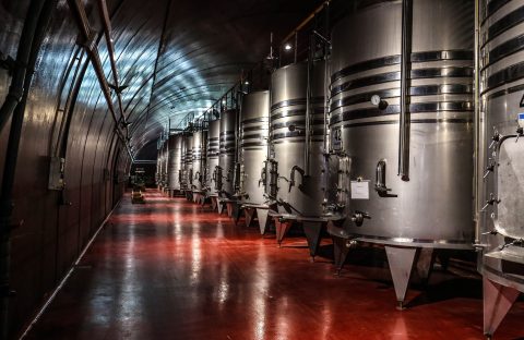 cantina vino contributi CIA Treviso
