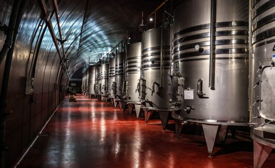 cantina vino contributi CIA Treviso