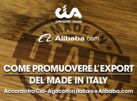 alibaba-cia-treviso-export-made-in-italy