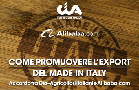 alibaba-cia-treviso-export-made-in-italy