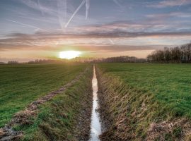 CIA-Treviso-Consorzio-Bonifica-Piave