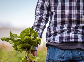 CIA-Treviso-INAC-Disoccupazione-agricola-2021