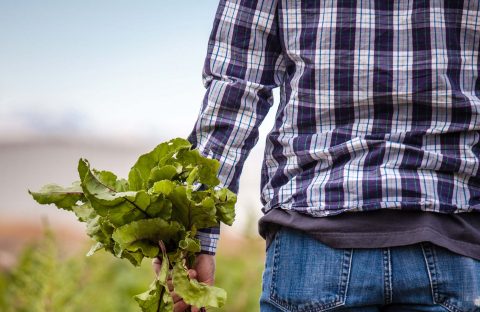 CIA-Treviso-INAC-Disoccupazione-agricola-2021