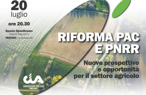 Banner_convegno-20-luglio