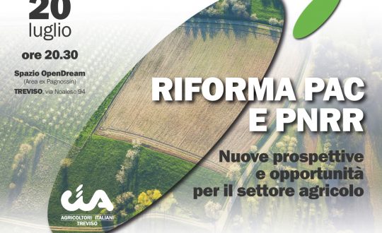 Banner_convegno-20-luglio