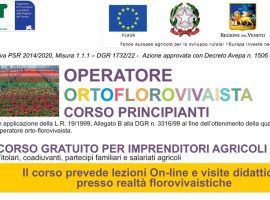 Volantino-corso-Florovivaismo-Legge-19_99---Principianti