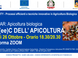 Volantino Webinar Apicoltura Bio 26.10.2023