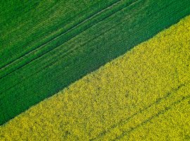 cia-premio-accoppiato-2024