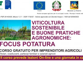 VOLANTINO-Corso-VITICOLTURA-SOSTENIBILE---cia-treviso