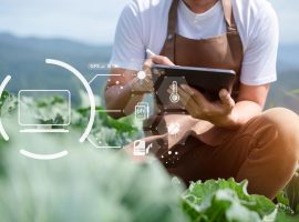 cia treviso psr veneto sostenibilita agricoltura