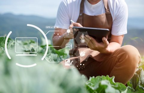 cia treviso psr veneto sostenibilita agricoltura