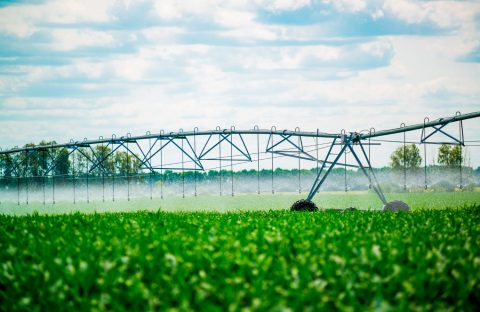 psr-cia-treviso-irrigazione-agricoltura