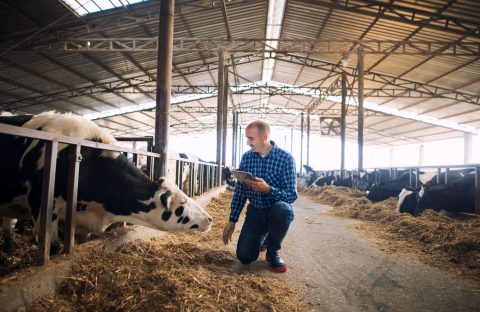 psr cia trevito benessere animale