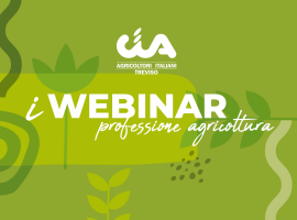 banner-web-news-webinar-cia-treviso