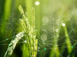 cia treviso tea europa tecnologia agricoltura