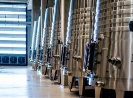 cia-treviso-com-vino-2025-2026-regione-veneto