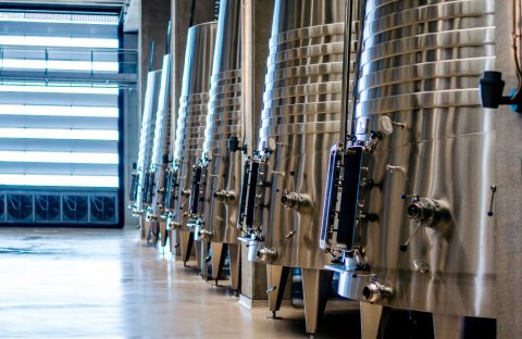 cia-treviso-com-vino-2025-2026-regione-veneto