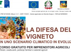 cipat-veneto-cia-treviso-Corso-Difesa-vigneto-2