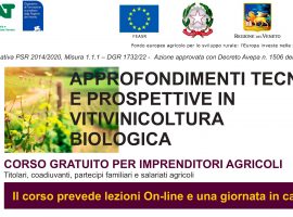 VOLANTINO-Corso-Vitivinicoltura-Bio-164-2