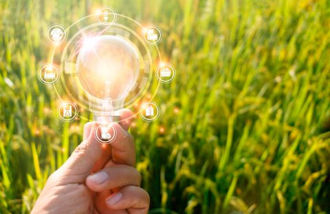 trensizione-5-0-cia-treviso-credito-imposta-2024