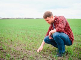 CIA-treviso-agevolazioni-per-giovani-agricoltori-2024