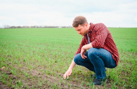 CIA-treviso-agevolazioni-per-giovani-agricoltori-2024