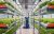 vertical farm tassazione catastale cia treviso