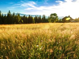 cia treviso ripristino natura UE Nature Restoration Law Fini