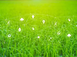 credito imposta 5 0 cia treviso agricoltura innovazione energia
