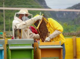 cia treviso apicoltura direttiva breakfast agricoltori italiani