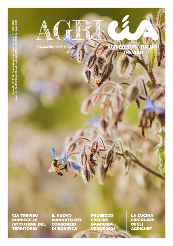 agriCIA_2025_copertina