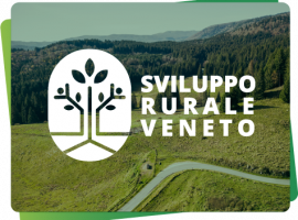logo-srv