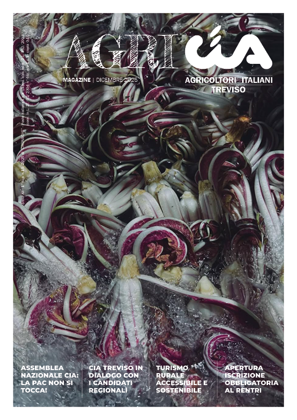 agriCIA_2025_03