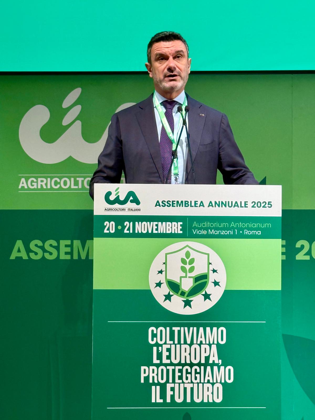 fini_assemblea_cia_2025