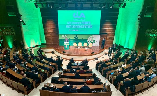 platea_assemblea_cia_2025_1