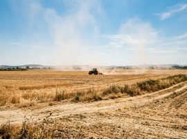 cia-treviso-ordinanza-calore-sicurezza-lavoro-regione-veneto