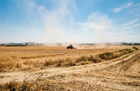 cia-treviso-ordinanza-calore-sicurezza-lavoro-regione-veneto