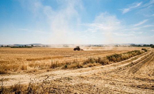 cia-treviso-ordinanza-calore-sicurezza-lavoro-regione-veneto