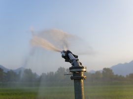 devreto irrigazione soccorso 2026 gasolio agevolato avepa cia treviso
