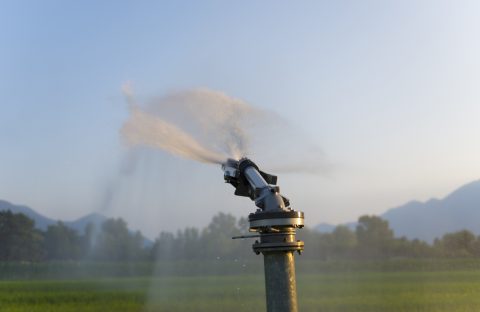 devreto irrigazione soccorso 2026 gasolio agevolato avepa cia treviso