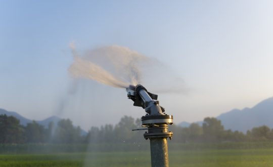 devreto irrigazione soccorso 2026 gasolio agevolato avepa cia treviso