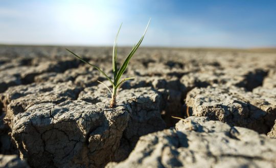 siccita agricat indennizzi cia treviso agricoltura