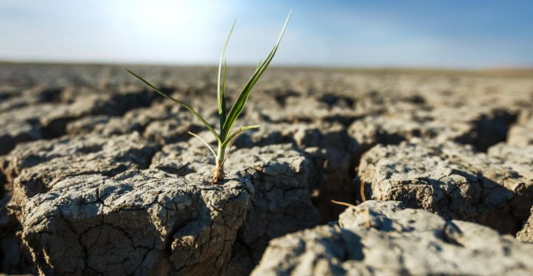 siccita agricat indennizzi cia treviso agricoltura